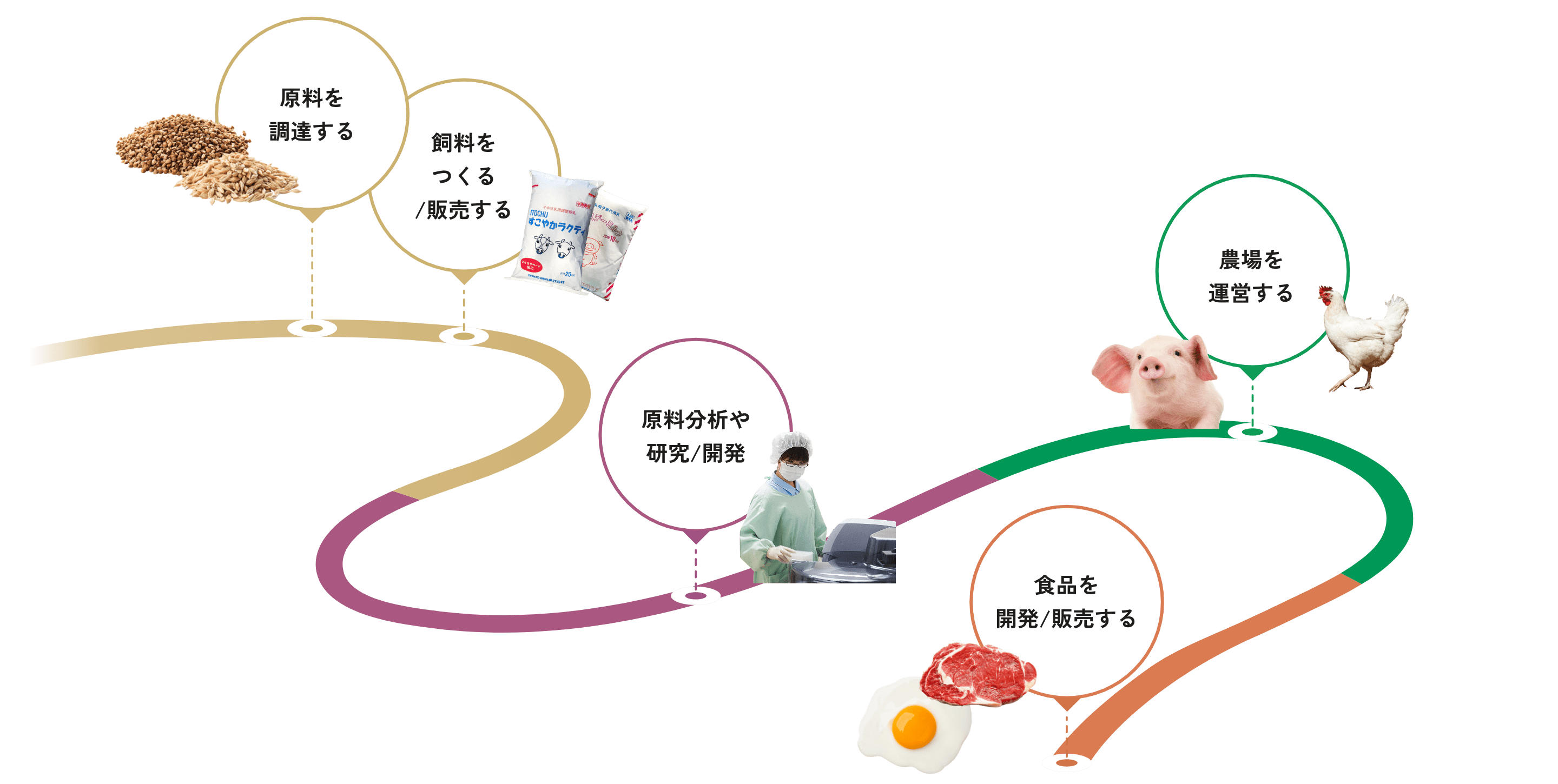 飼料生産、畜産物事業の流通の流れ