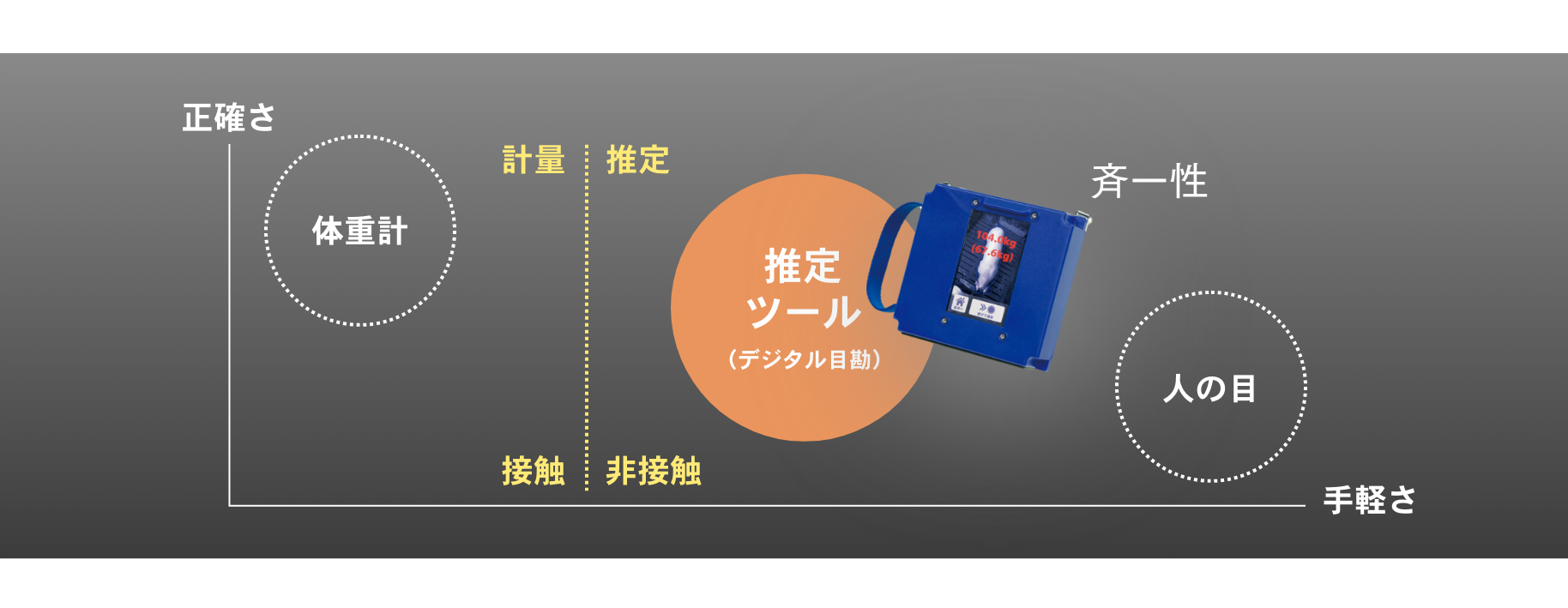 デジタル目勘で測れるデータの図